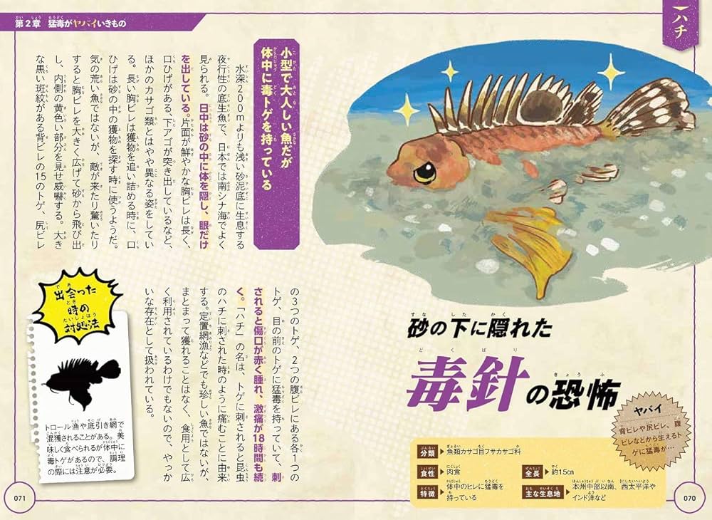 生物の進化大事典 Amazon.co.jp: 生物の進化大事典 : スティーヴ・パーカー, 養老